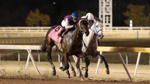 Remington Park Springboard Mile, Glengarry, Otto the Conqueror, Tyler Gaffalione, Steve Asmussen